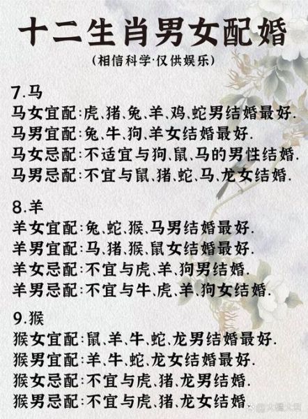 属相最和的生肖（12生肖和属相配对最旺你的生肖）