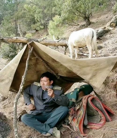 王顺友属啥生肖属相呢（王顺友属啥生肖呢🐯）