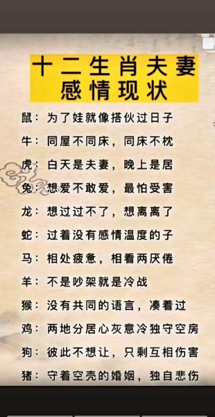 生肖属相优点大全图片（生肖属相优点大全图解超清）