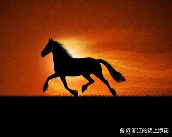 马生肖属相性格分析（生肖属马的人性格优缺点全解析）