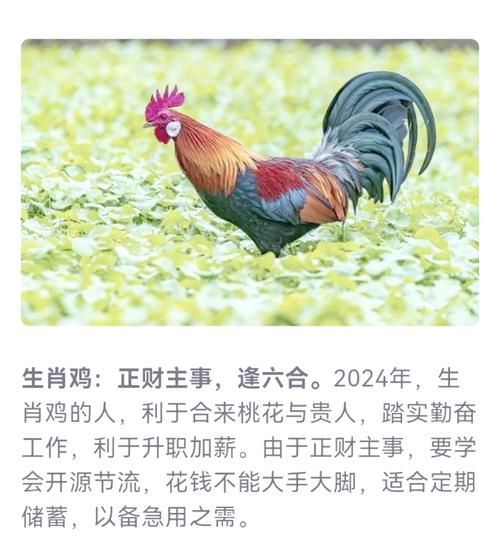 龙年各大生肖属相（龙年运势查询生肖2024）