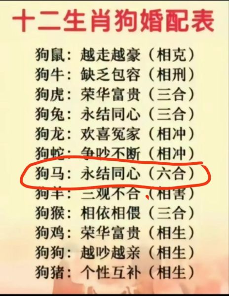 生肖狗和属相相合（生肖狗和什么属相最配对）