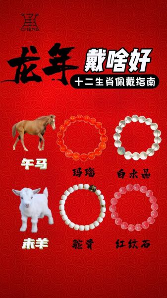 生肖的属相解析图片（2024龙年生肖属相解析图片大全）