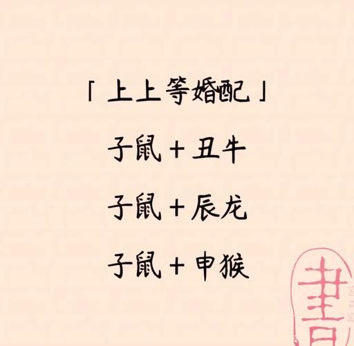 生肖鼠配对属相（生肖鼠最佳配对属相是哪几个）