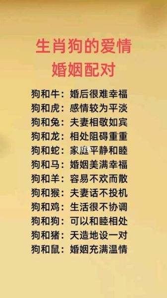 生肖狗 属相（属狗的和什么属相最配最旺财运）
