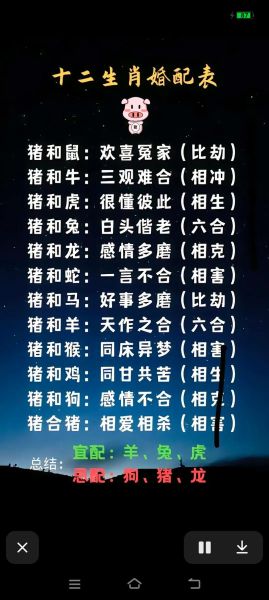 属猪的生肖属相相配吗（属猪和什么生肖最配婚姻）