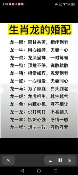 龙生肖配对属相（龙和什么生肖最配婚姻👫）