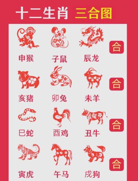 生肖和什么属相最合（生肖和什么属相最合财运）