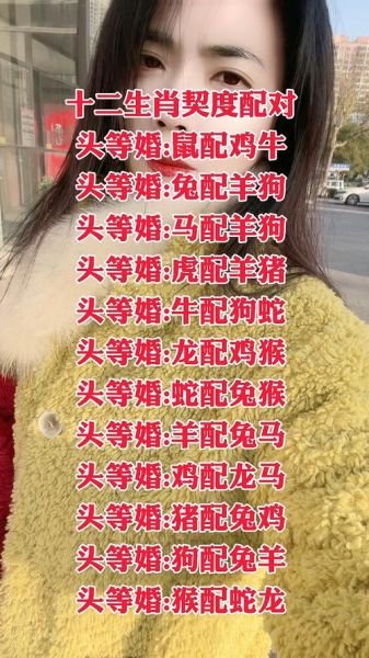 双胞胎最佳生肖属相（2025年双胞胎最佳生肖属相配对指南）