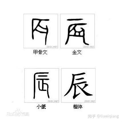 辰字属相是什么生肖（辰字属相是什么生肖👀）