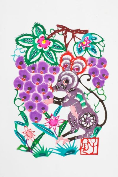 孔楠属什么生肖属相