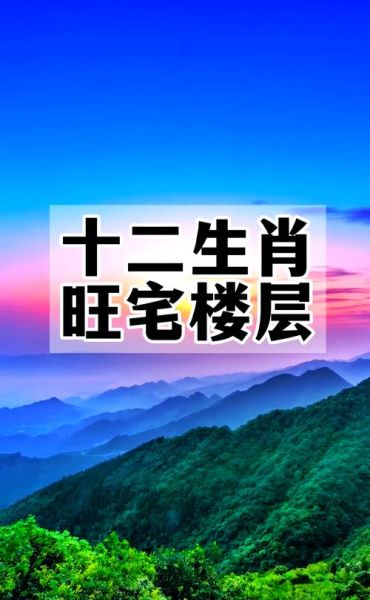属相生肖于楼层选择（属鼠住几楼最吉利？选房风水必看）