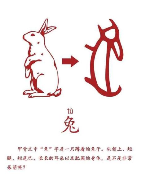 甲是哪个属相的生肖