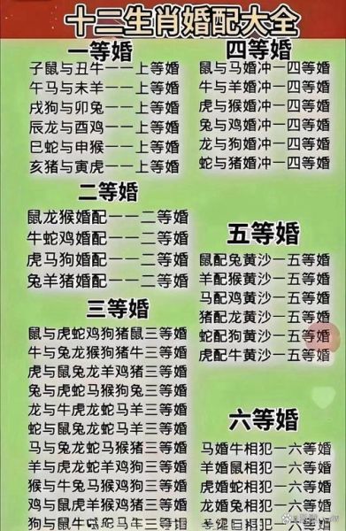 生肖男的媳妇生肖属相（生肖男的媳妇生肖属相配对指南）