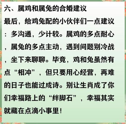 属相兔和生肖鸡（兔和鸡合不合？真实合婚报告来了）