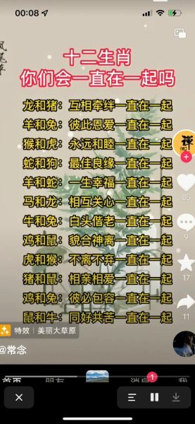 兔年适配的生肖属相（兔年最配生肖前三名是谁？）