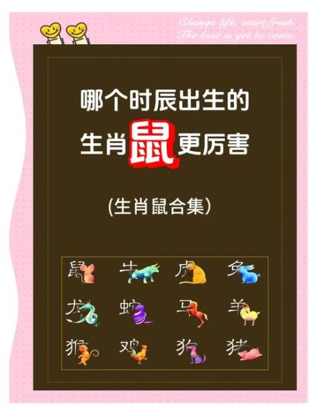 生肖鼠喜欢独处的属相（生肖鼠喜欢独处的属相是哪个）