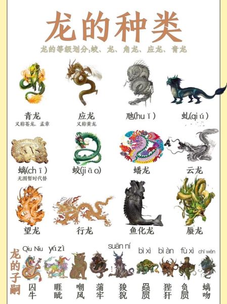 寅龙什么生肖属相（寅龙到底指什么生肖）