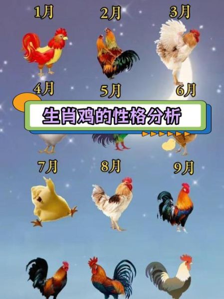 生肖鸡喜欢的属相男人（生肖鸡女最适配属相男排行）
