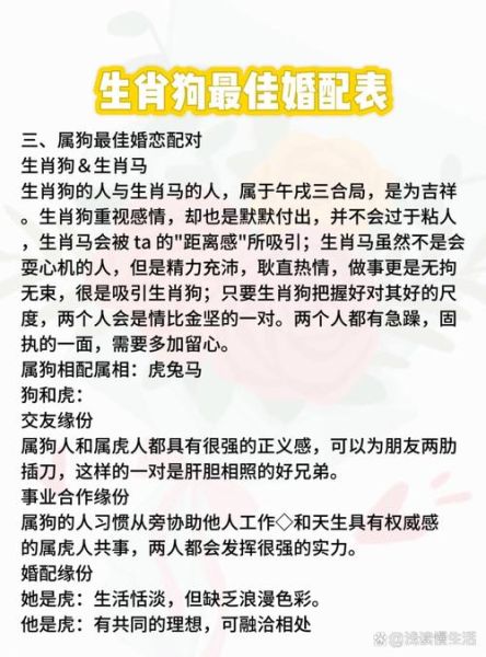 生肖狗最佳配对属相（生肖狗最佳配对属相是什么🐶）