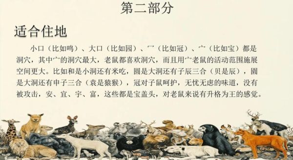 带子字的生肖属相（带子字的生肖是鼠吗）