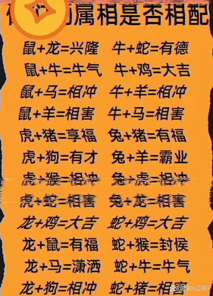 查询生肖属相婚姻（鼠和龙配婚姻好不好）