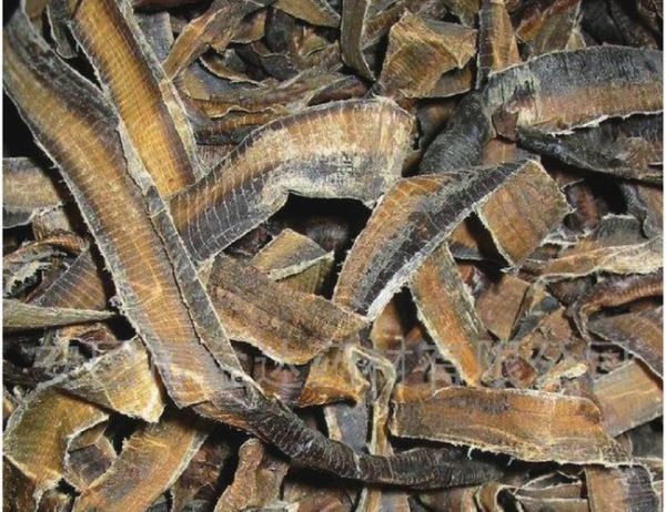 什么生肖属相土龙（什么生肖属相土龙？新手一看就懂）