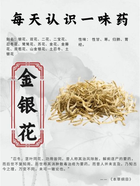 银花属相是什么生肖（银花属相是什么生肖？一篇看懂）