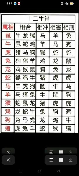 生肖配对的属相对象（属相配对查询表入门看这一篇）