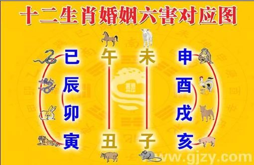 生肖属相不合(生肖属相不合真的不能结婚吗)