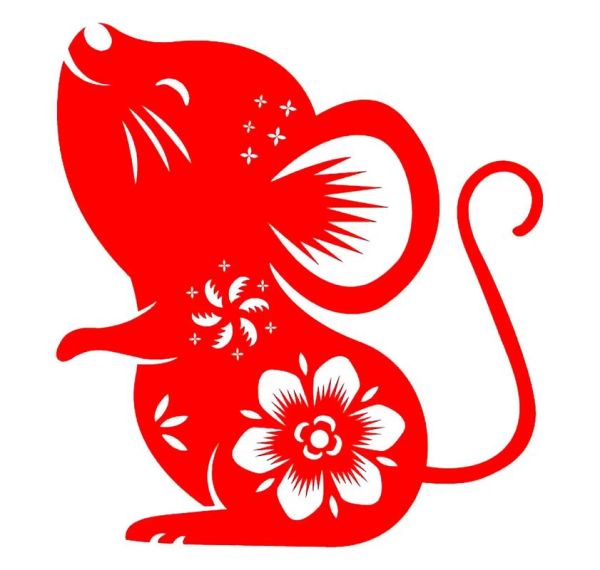 生肖属相长相图片（老鼠属相长相真人图片大全）