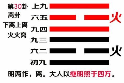 离卦详解生肖属相（离卦对应生肖属马吗？新手看懂卦象✨）