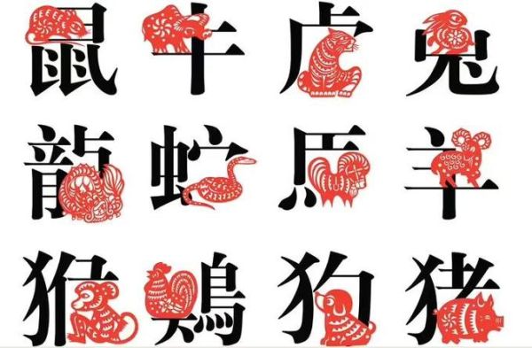 汝属哪个生肖属相（汝属哪个生肖属相？新手指南教你秒查）