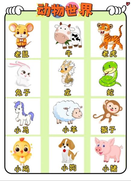 十二生肖属相图解视频(十二生肖图解视频完整版)