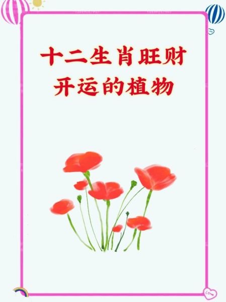 生肖属相的植物有哪些（适合我的生肖的幸运植物有哪些🌿）