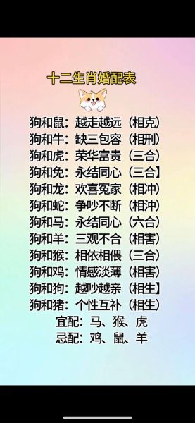 男女婚配生肖属相(男女婚配生肖属相匹配表)