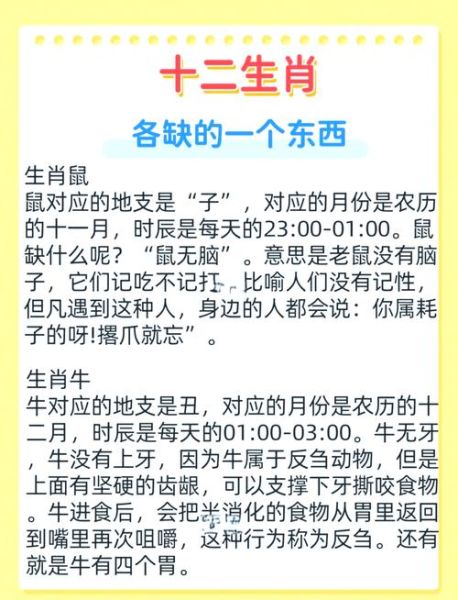 介意生肖属相的人吗（会有人介意生肖属相吗）