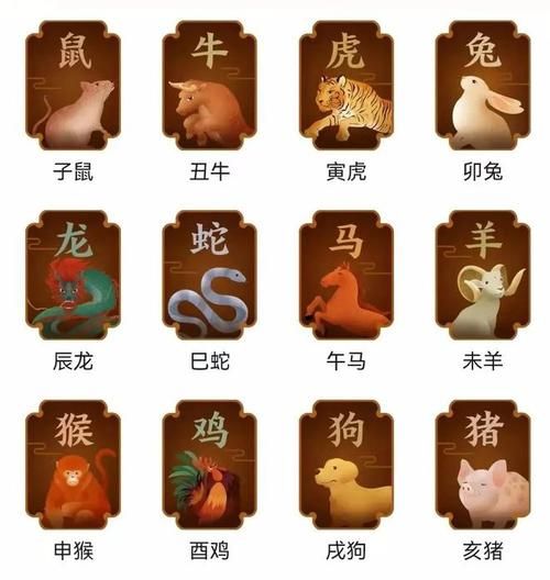 真人属什么生肖属相呢（真人属什么生肖？小白秒查表）