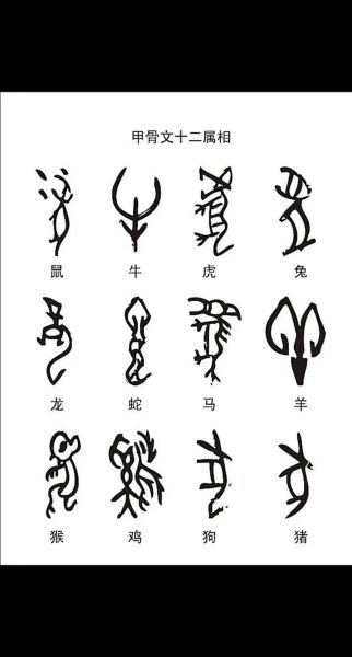 十二生肖属相图甲骨文（甲骨文十二生肖图片大全）