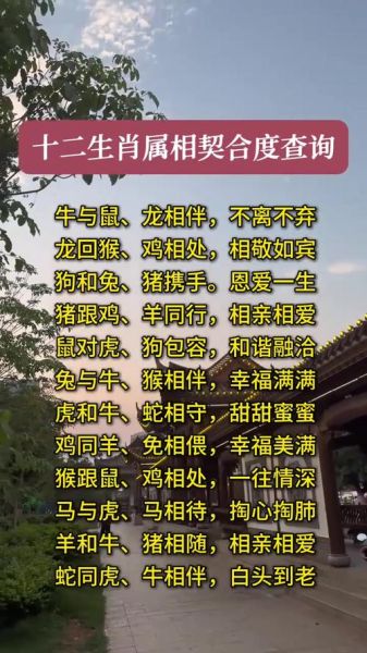 物以类聚生肖属相（物以类聚生肖属相配对查询）