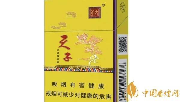 金天子属什么生肖属相（金天子属什么生肖属相？）