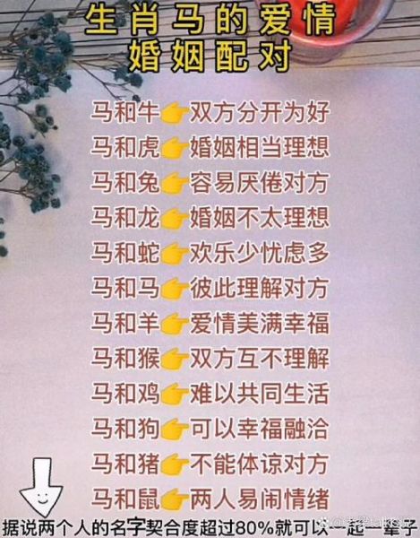 生肖马啥属相最配对（生肖马和什么属相最配）