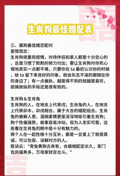 狗的生肖配对最佳属相（属狗的跟哪个生肖最配最好）