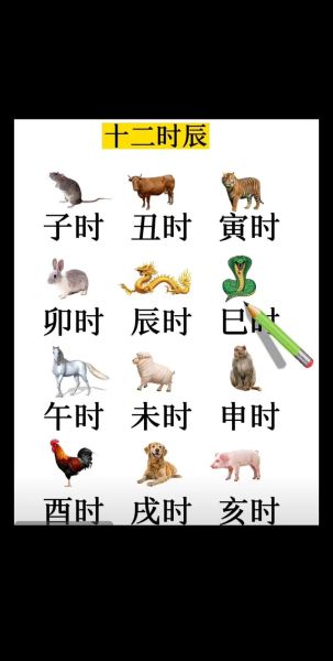 午时属相什么生肖