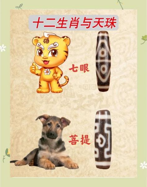 天珠生肖属相（天珠生肖佩戴对照表💡快速选珠）